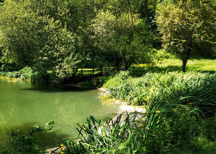 ENS Lac de Labarthe