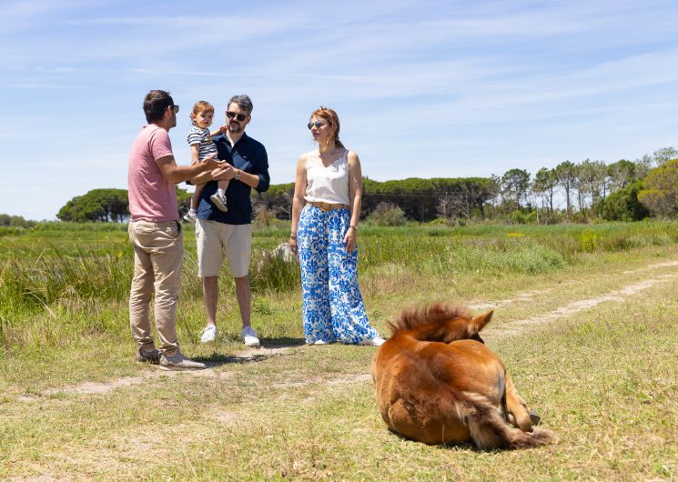 La Réserve du Petit Rhône_Vauvert