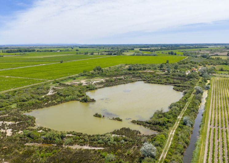 La Réserve du Petit Rhône_Vauvert