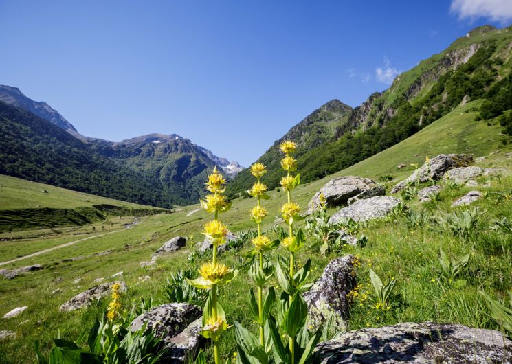 Réserve d'Orlu