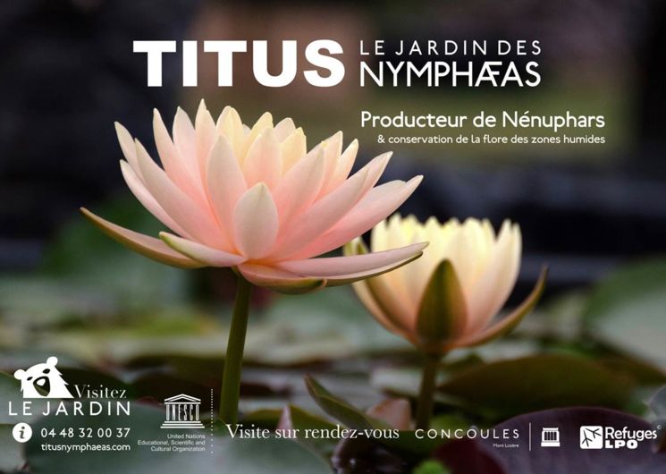 Titus, le Jardin des Nymphaeas