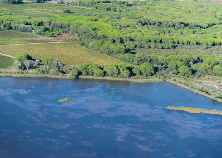 Réserve Naturelle Régionale du Mahistre et Musette