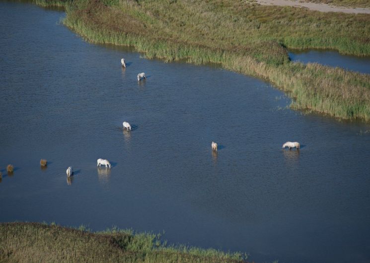 Réserve Naturelle Régionale du Mahistre et Musette