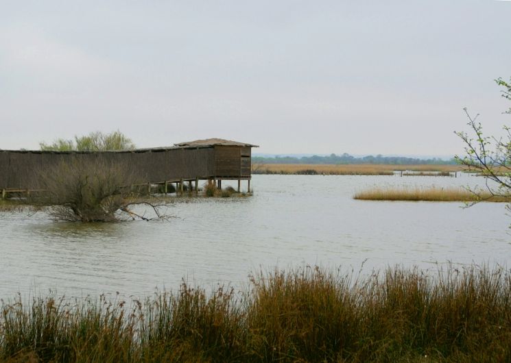 Réserve Naturelle Régionale du Mahistre et Musette