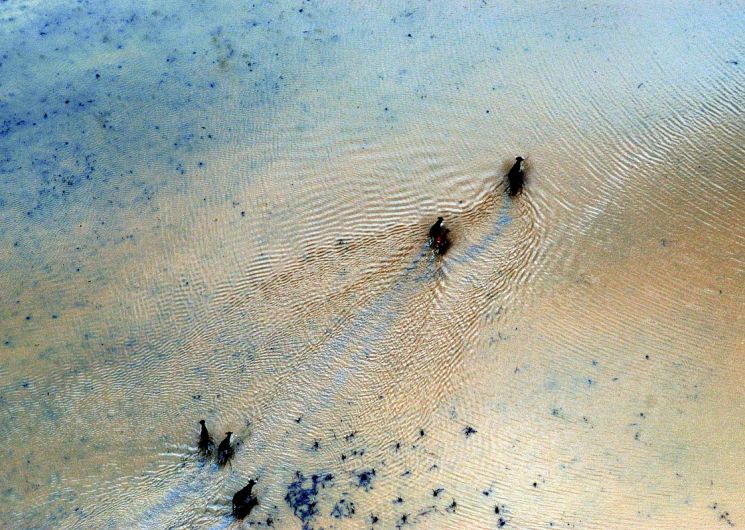 Réserve Naturelle Régionale du Mahistre et Musette