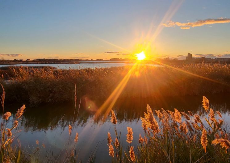 Coucher de soleil - Etang de la Marette