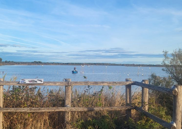 Observatoire Sud - Etang de la Marette