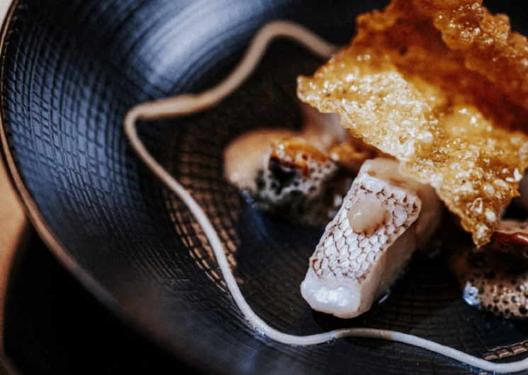 Le Puits Saint Jacques_Pujaudran