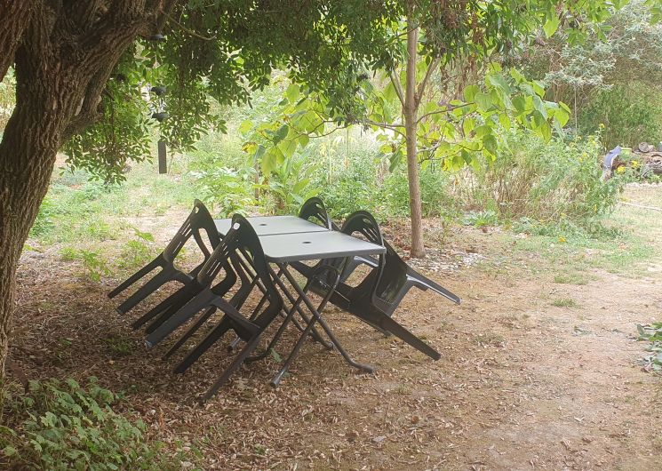 TERRASSE SUREAU.jpg