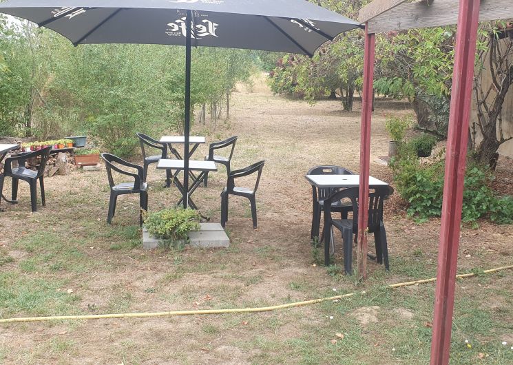 Jardin.jpg