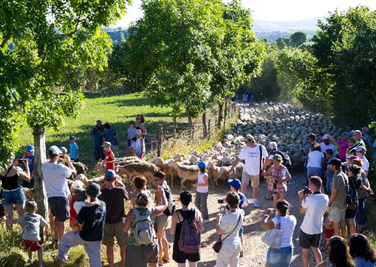 FERME SEGUIN / GAEC DES GRANDS CAUSSES