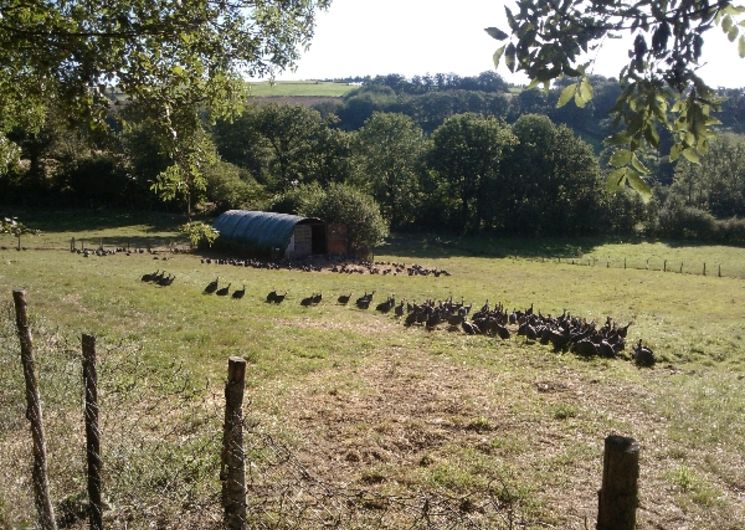 la ferme du Vialaret