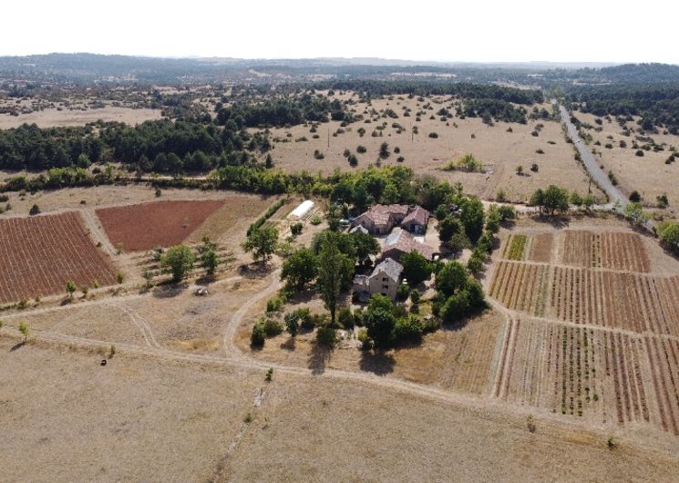 Aromatiques du Larzac