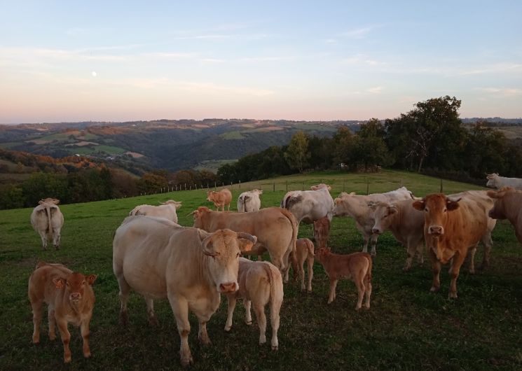 La Ferme de Tessi