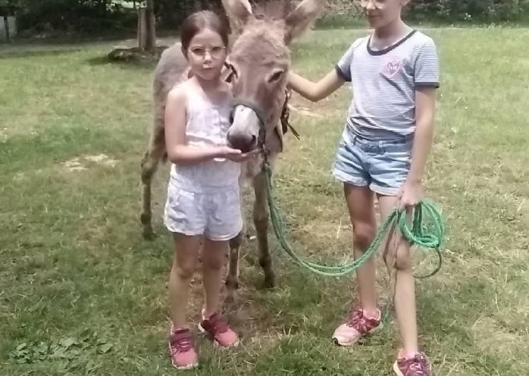 Ferme du Soulié : balades à dos d'ânes ou de poneys