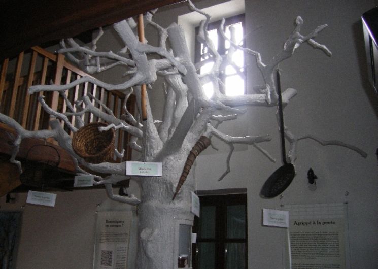 L'arbre à pain dans la première salle d'exposition