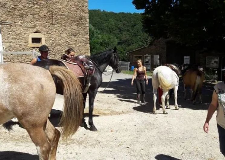 Les Ecuries de Bannes - Centre Equestre