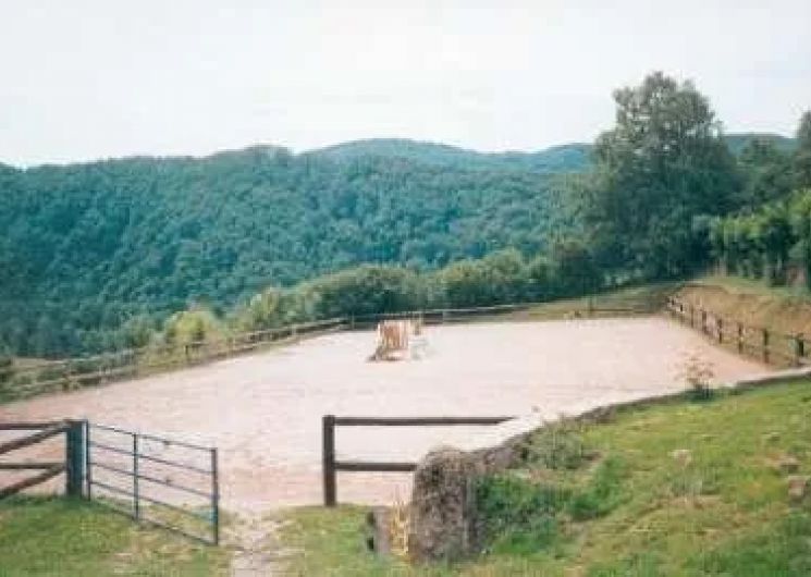 Les Ecuries de Bannes - Centre Equestre