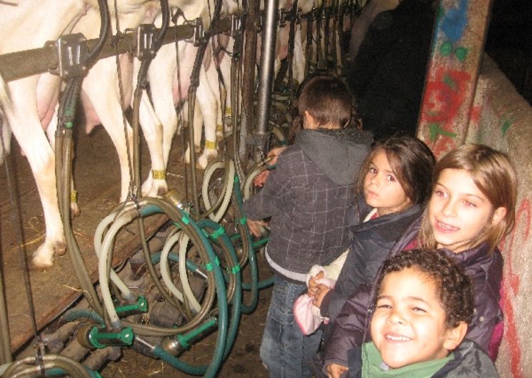 La joie des enfants de traire les biquettes