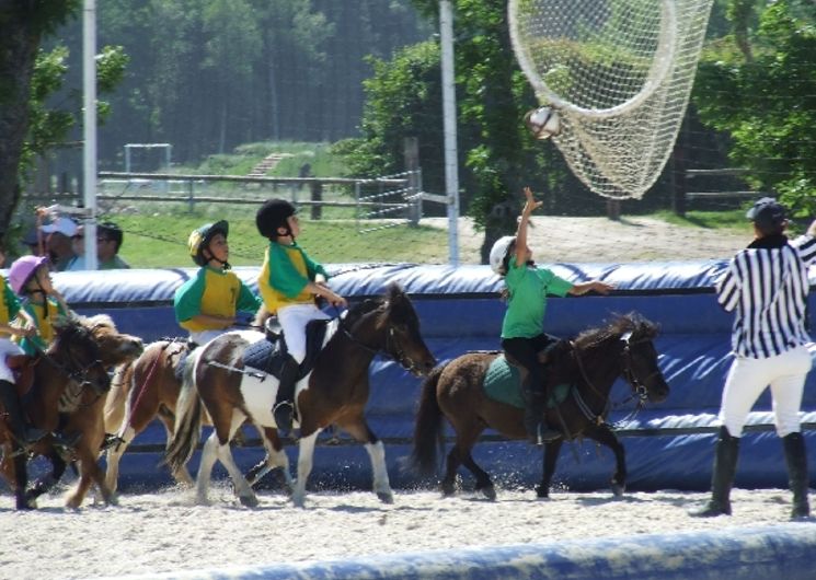 Ferme équestre du Badour - Ecole d'équitation
