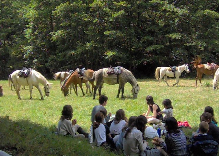 Ferme équestre du Badour - Ecole d'équitation