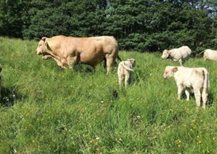 La Ferme Lou Brenac