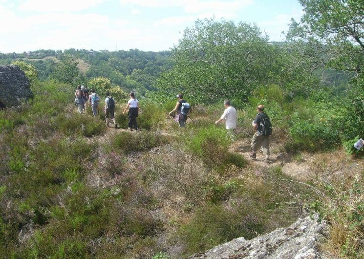 Randonnées Estivales (Club Rando)