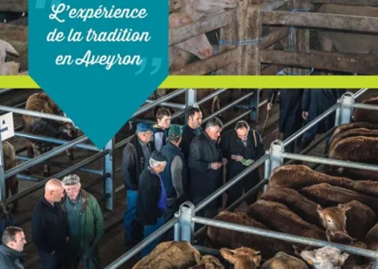 Visite guidée du marché aux bestiaux - mardi matin - sur réservation