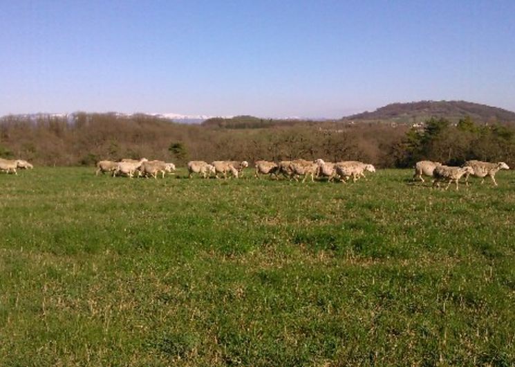 Ferme de Mayrinhac