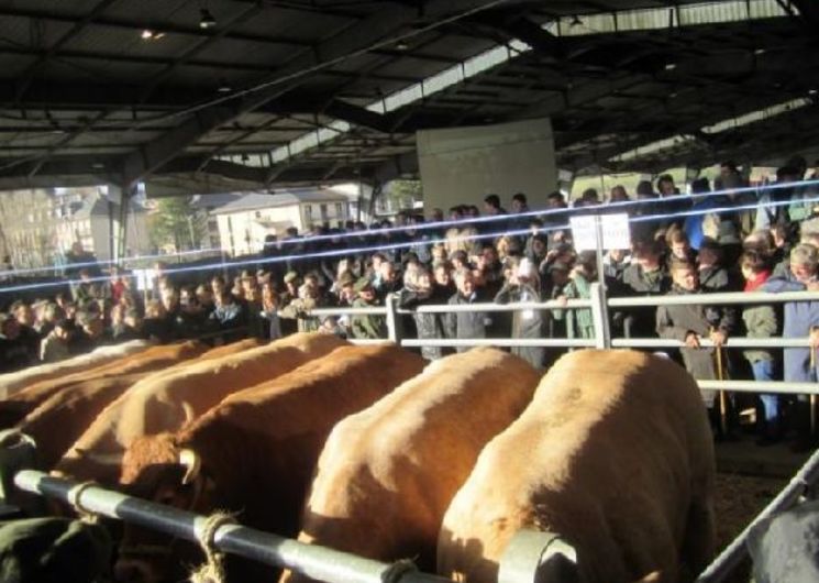 Concours des Boeufs de Noël de Laissac