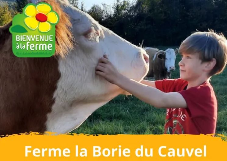 Bienvenue à la ferme de La Borie du Cauvel