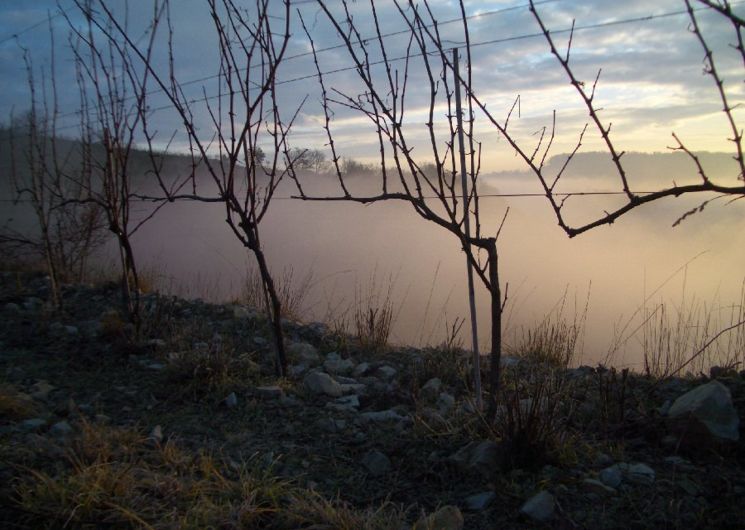 Domaine du Val Enchanté