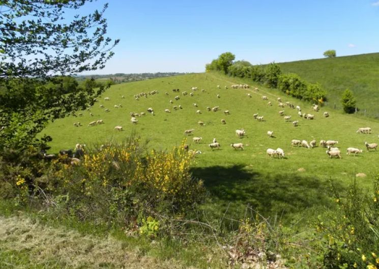 Visite de ferme