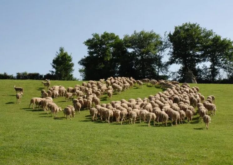 Visite de ferme