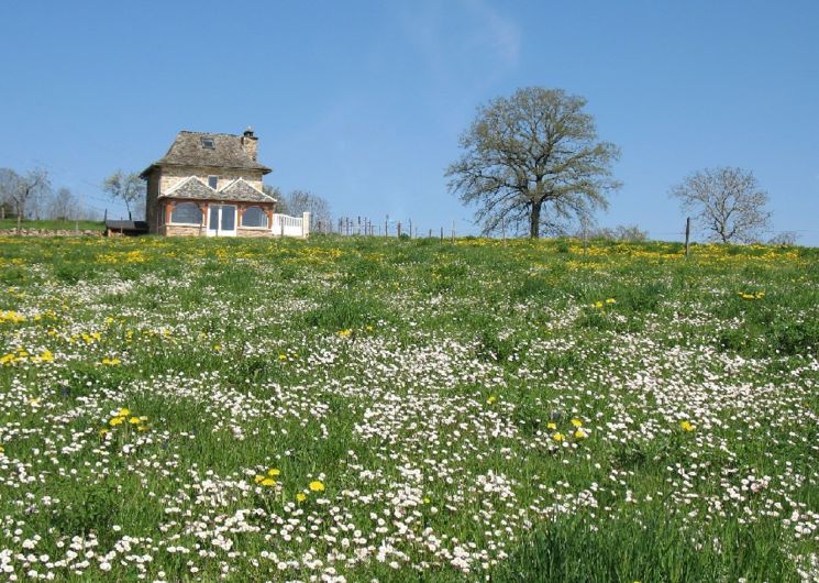 La Maison de Vigneron - H12G005411