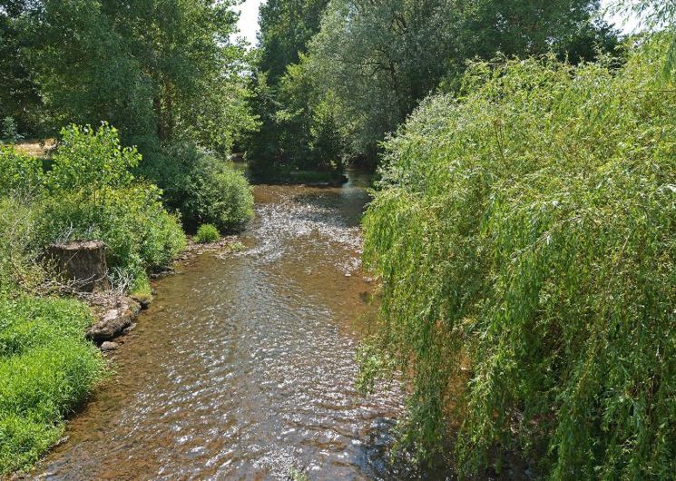 LE CHATAIGNER MOULIN DE CANTARANNE 