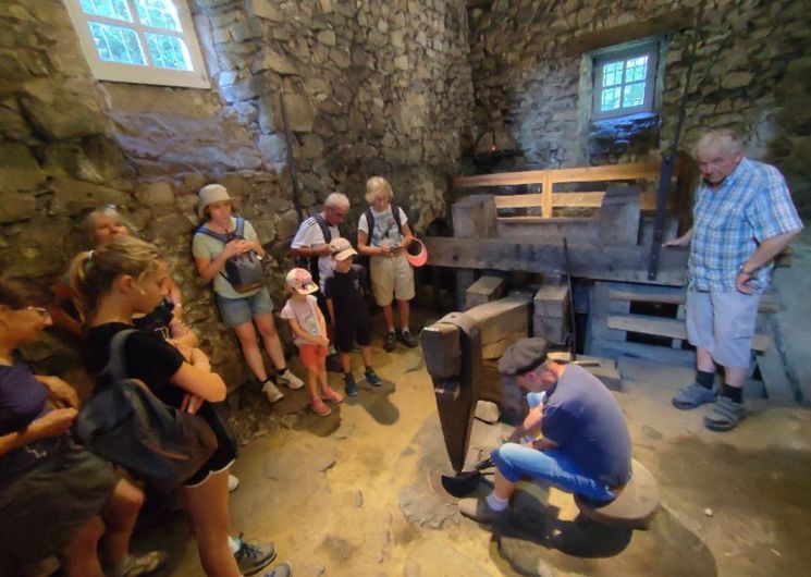 Les Martinets du Lézert à La Bastide l'Evêque