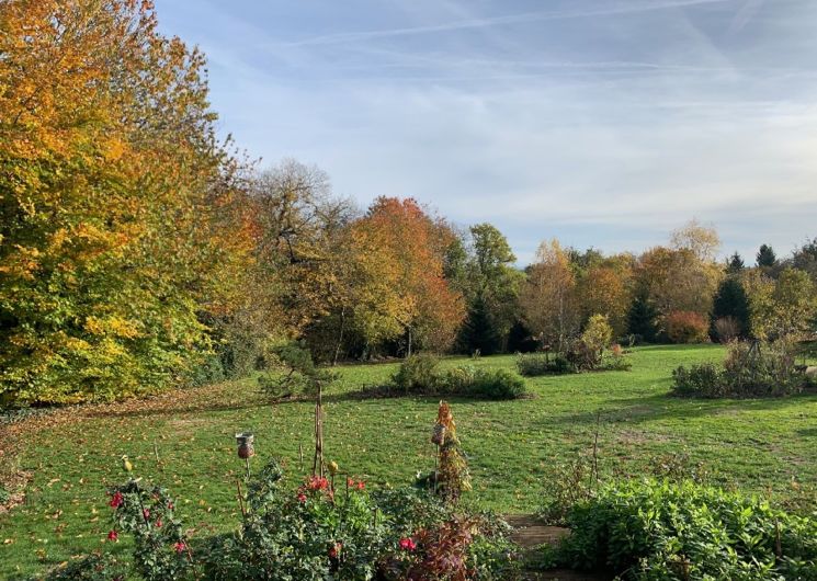 Le parc à l'automne