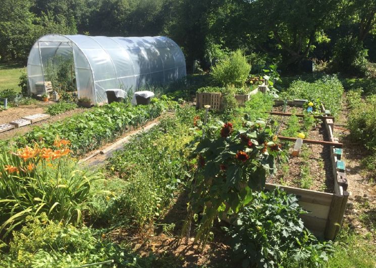 Le potager sur sol vivant