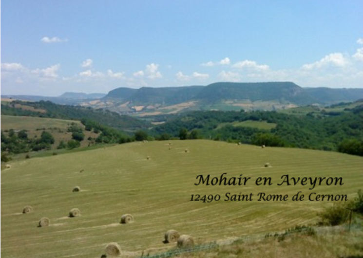 Mohair en Aveyron - Paysage de l'exploitation