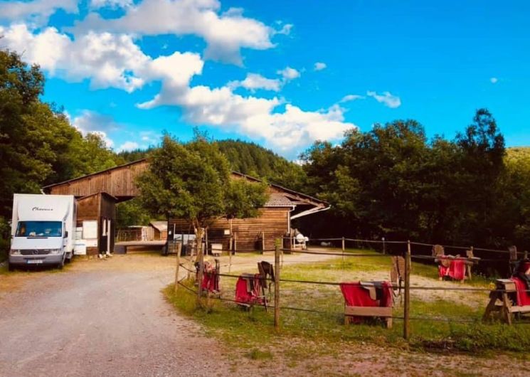 Ecole d'équitation - Ecurie Qualina