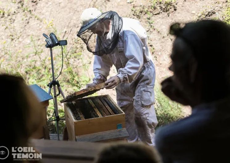 L'Arc en Miel : visite-immersion au coeur du monde des abeilles