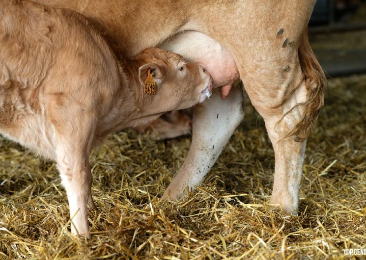 IRVA - Visites de ferme en Ségala