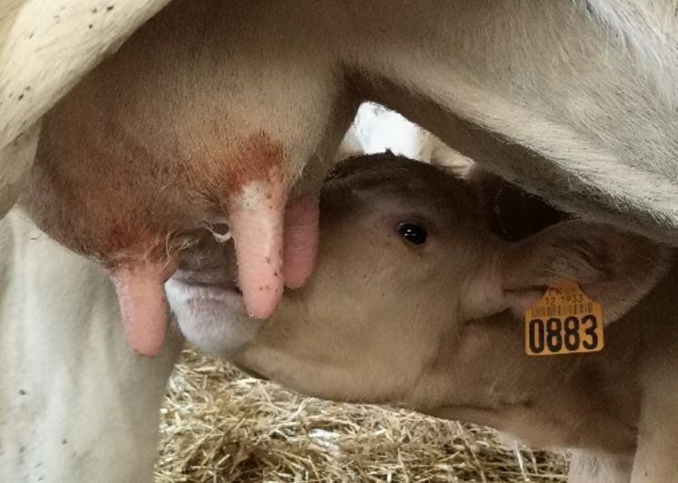 IRVA - Visites de ferme Pays Ségali 