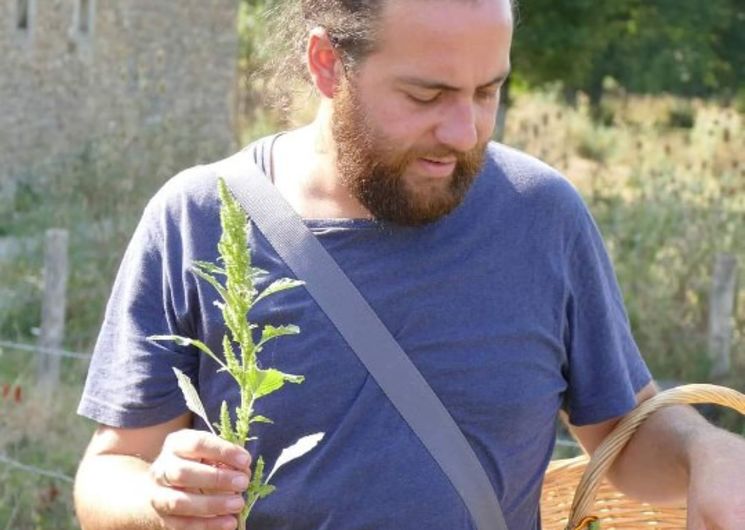 Les jardins de l'instant végétal