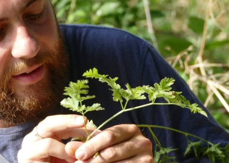 Les jardins de l'instant végétal