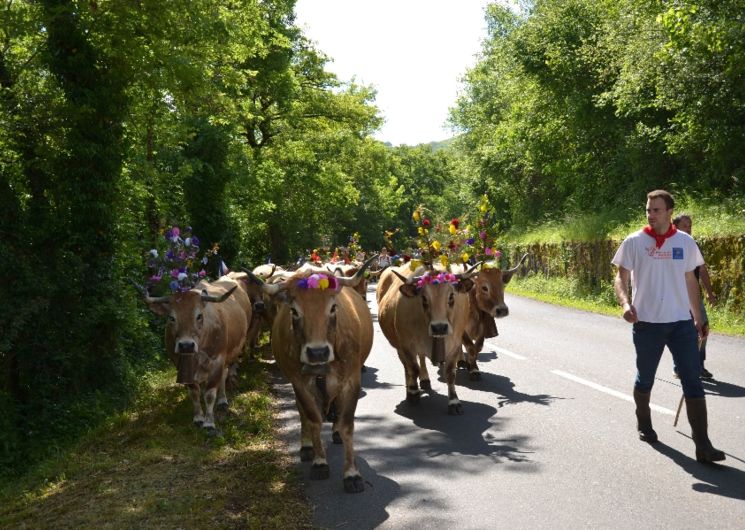 Fête et Marches de l'Estive 