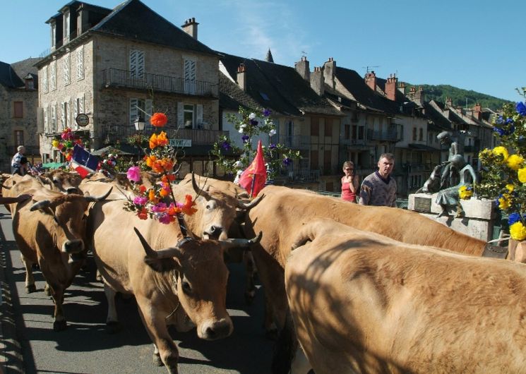 Fête et Marches de l'Estive