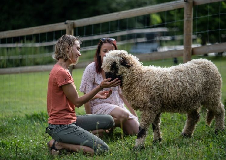 La Ferme des Andes - Visite commentée de la ferme