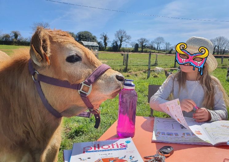 La petite ferme naturailes